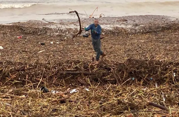 Sel sonrası deniz kahverengi oldu, sahiller odun doldu
