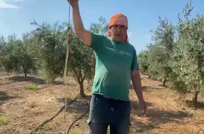 Serada karpuz toplarken yılanla burun buruna geldi
