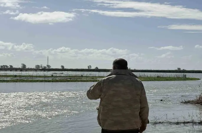 Seyhan Nehri taştı, Tarsus’ta tarım arazileri sular altında kaldı
