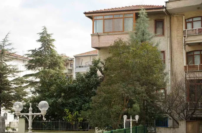 Şiddetli rüzgar hayatı olumsuz etkiledi, bazı ağaçlar devrildi
