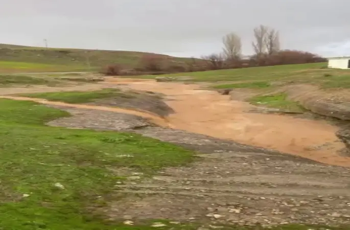 Siirt’te dolu yağışı etkili oldu, bahçeler zarar gördü
