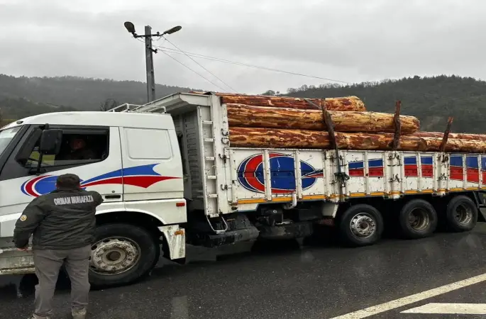 Sinop’ta orman ürünlerine 183 noktada denetim
