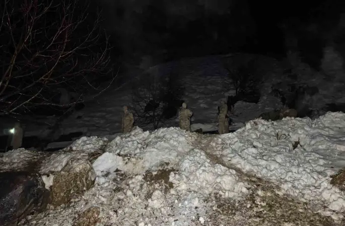 Şırnak’ta dev kayalar köye düştü, 30 hayvan telef oldu
