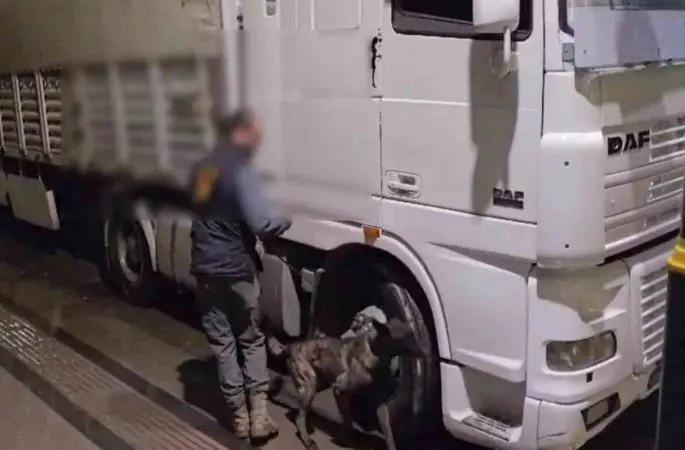 Sivas’ta 12 kilo uyuşturucu ele geçirildi: 2 tutuklama
