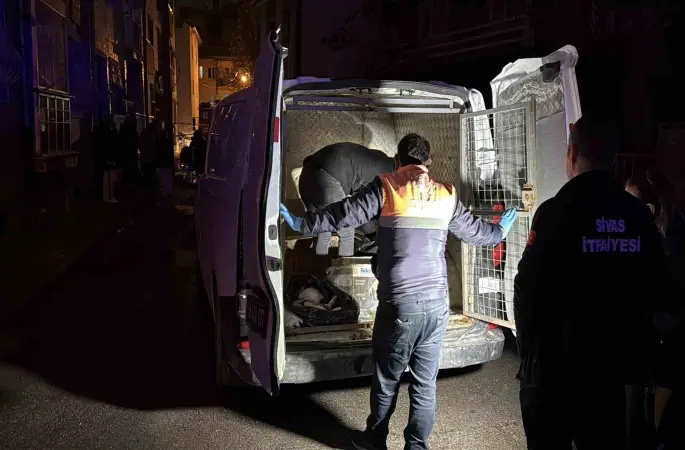 Sivas’ta 2 katlı evde çıkan yangında 26 kedi telef oldu
