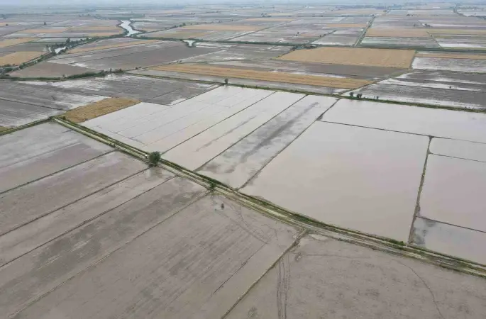 Söke’nin 2026 yılı ürün deseni belli oldu
