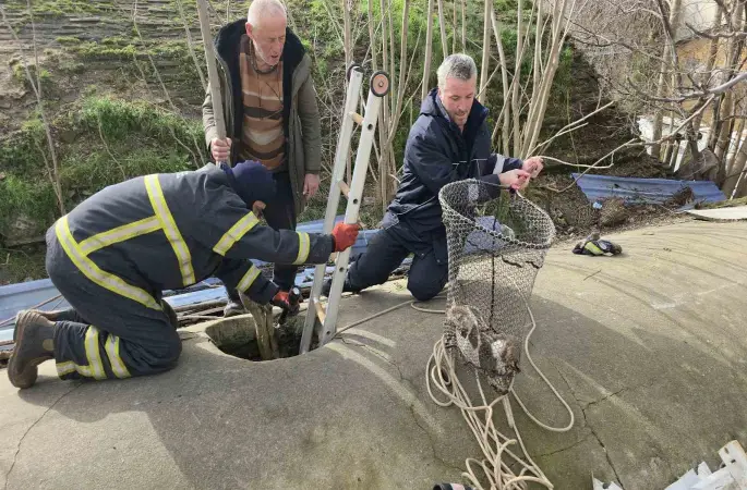 Su deposuna düşen yavru köpek 6 saat sonra kurtarıldı
