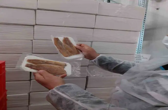 Su ürünleri üretimi yapılan tesislerde denetim
