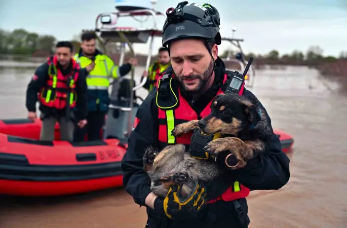 Sular altında kalan bağ evinde mahsur kalan iki köpeği belediye ekipleri kurtardı
