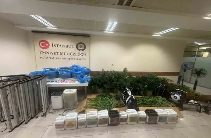 Sultanbeyli’de kenevir serasına baskın: 21 kilo Hint keneviri ele geçirildi
