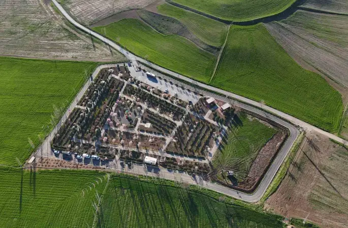 Sunurlu’nun minik meclis üyeleri fidan dikti
