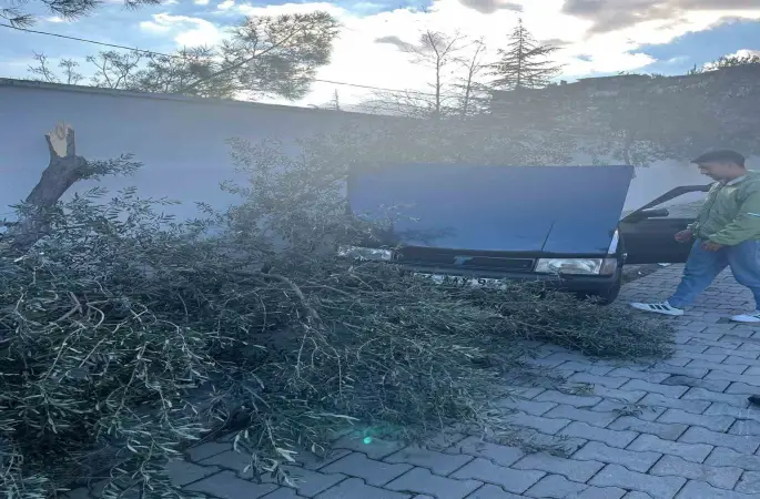 Süratli otomobil önce ağaca sonra duvara çarptı
