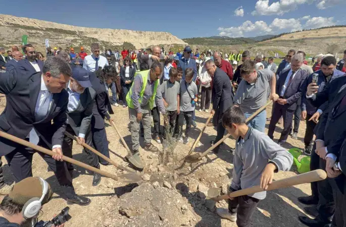 Taşınan her zeytin ağacına karşılık fidan: Milas’ta 4 bin zeytin toprakla buluştu
