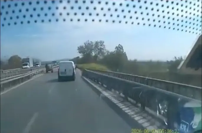 Ters yönden gelen at arabası trafiği tehlikeye attı
