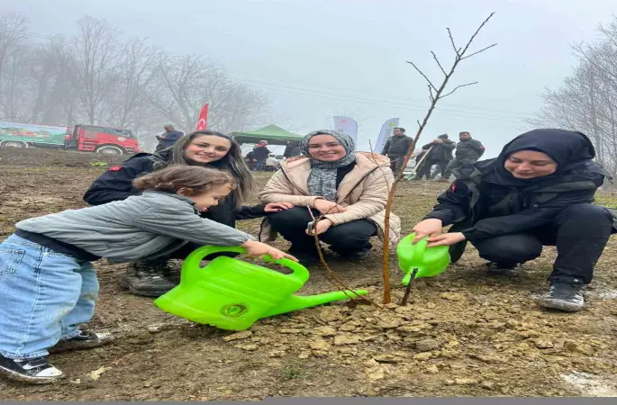 Türkeli’de yüzlerce fidan toprakla buluştu
