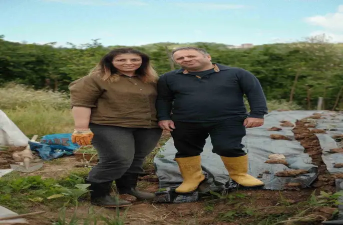 Ünlü zincir restoranda gıda zehirlenmesi iddiası
