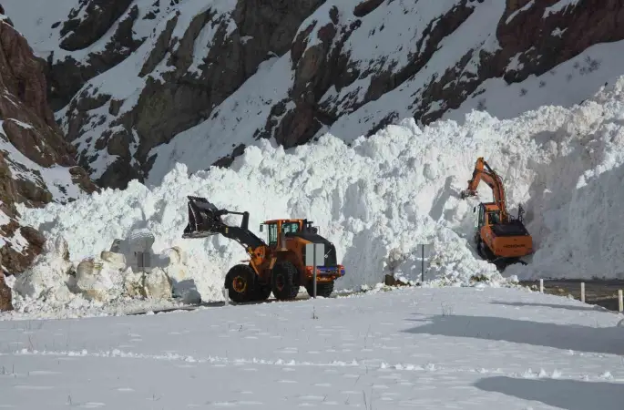 Van-Hakkari kara yolunda çığ sonrası çalışmalar sürüyor
