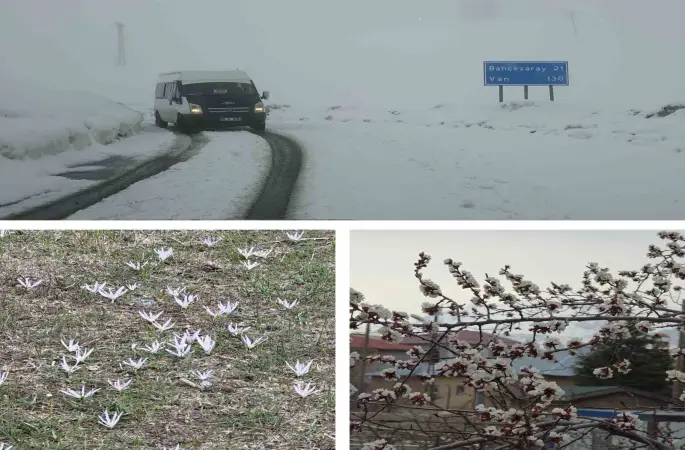 Van’da iki mevsim bir arada: Bir yanda bahar, diğer yanda kış
