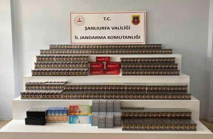 Viranşehir’de 4 bin 900 paket kaçak sigara ele geçirildi
