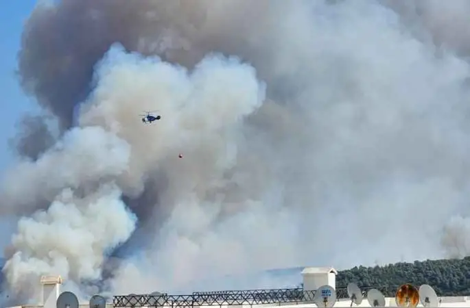 Milas’ta orman yangını