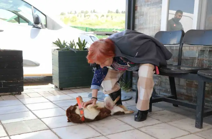 Yalova’da Cevriye teyze can dostu ile duygulandıran buluşma
