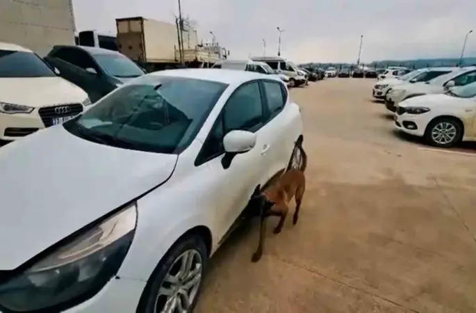 Yalova’da uyuşturucu operasyonu: 2 tutuklama
