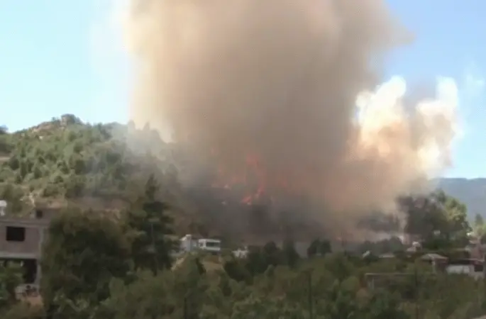 Hatay’da orman yangını