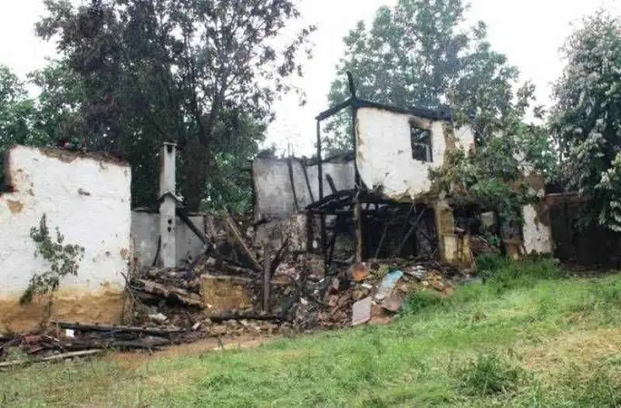 Milas’ta orman yangını