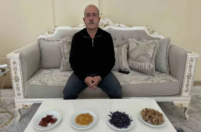 "Yapamazsın" diyenlere inat yetiştirdiği safran ve salebi evinde tüketiyor
