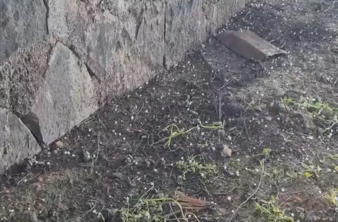 Yavuzeli’nde nohut büyüklüğünde dolu yağdı
