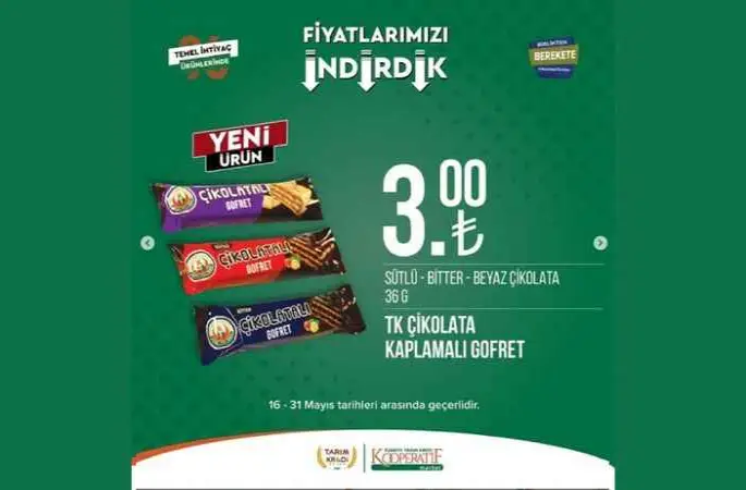 İçerisinde 110 bin dolar bulunan kasayı yuvarlayarak kaçırdılar