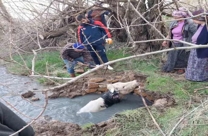 Yozgat’ta kuyuya düşen büyükbaş, AFAD ekiplerince kurtarıldı
