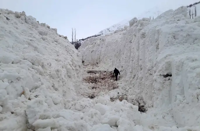 Yüksekova’da çığ meyve bahçelerini yuttu: Köy yolu kar tünelleriyle açılıyor
