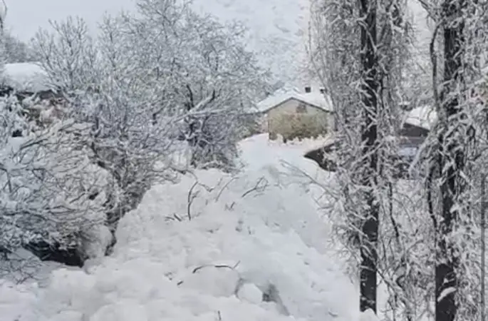 Yüksekova’da çığ yerleşim yerine indi: Facianın eşiğinden dönüldü
