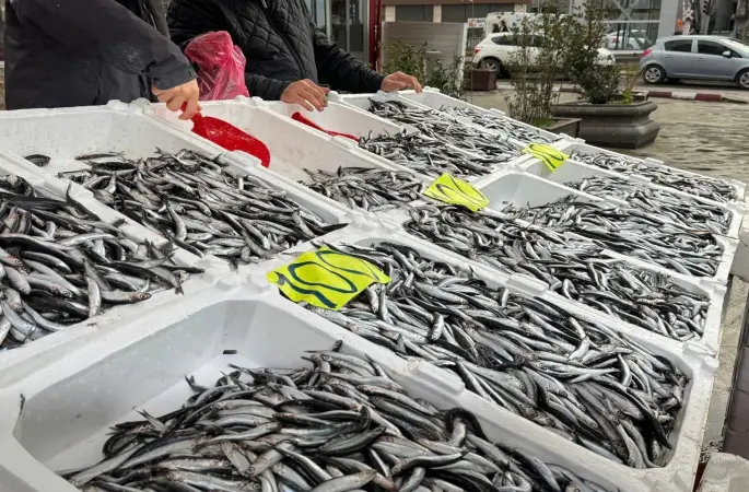 Zonguldak’ta Sevgililer Günü’ne özel hamsi kampanyası: Kilosunu 100 liradan sattılar
