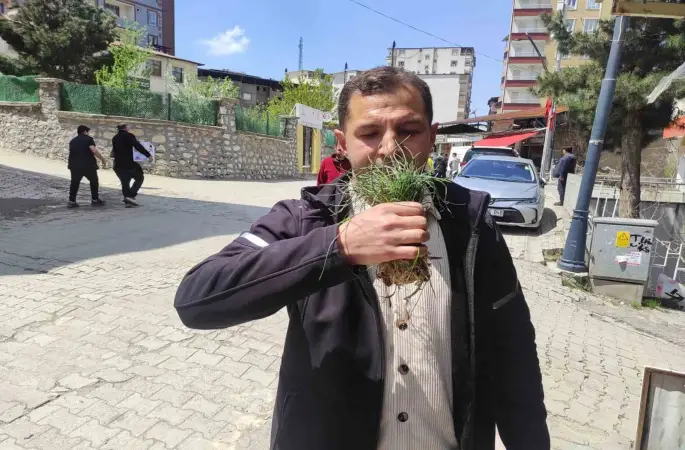 Zuzubak otu, köylüler için önemli bir gelir kapısı
